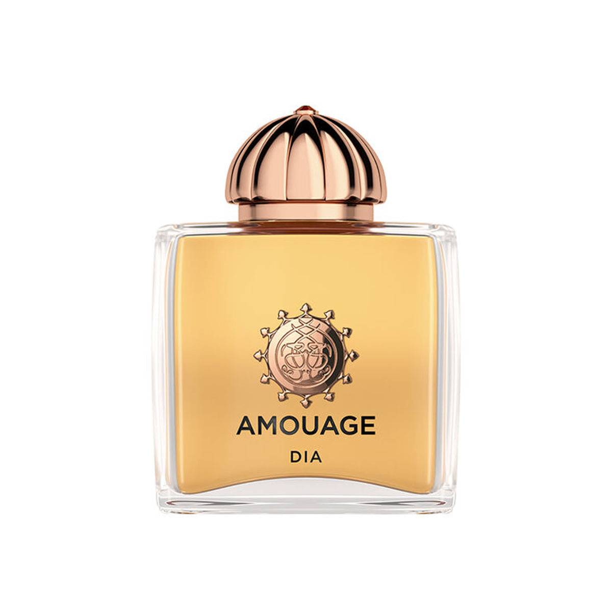 Amouage Saoc Dia Woman Eau De Parfum 100ml